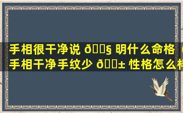 手相很干净说 🐧 明什么命格（手相干净手纹少 🐱 性格怎么样）